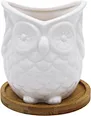bulk ceramic flower pots